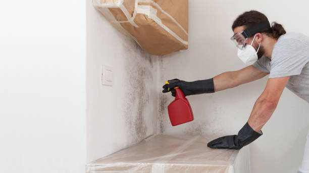 Professional Attic Mold Remediation technician working in North Reading, MA