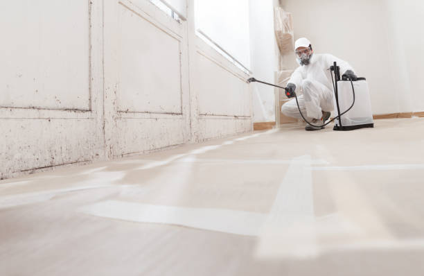 24/7 Emergency Attic Mold Remediation experts in North Reading, MA